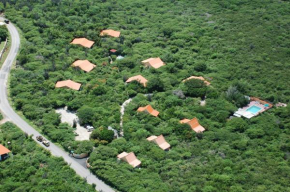 Flamingo Park Curacao
